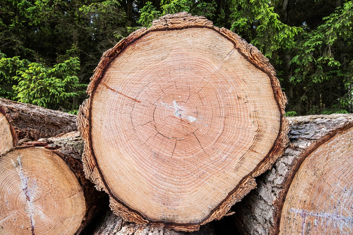 Are All Wooden Crates Sustainable? What You Should Know Before Choosing