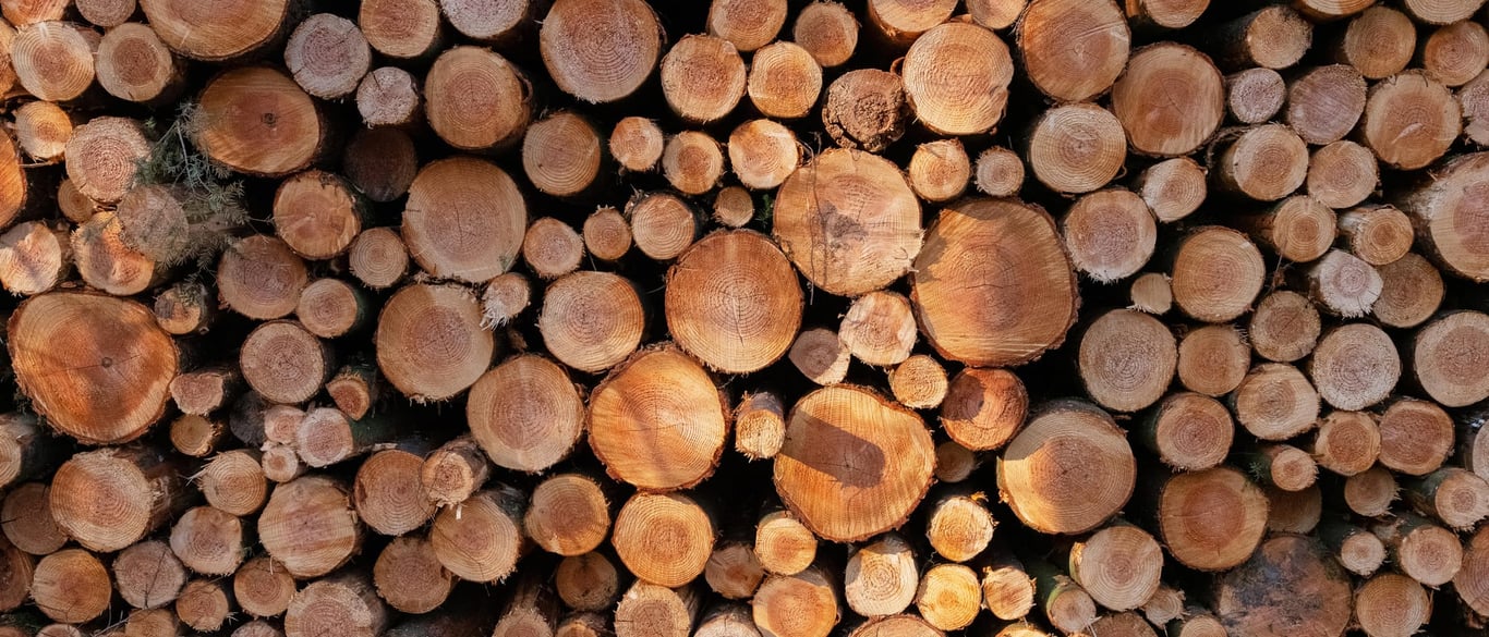 Understanding Lumber in European Wooden Pallet Production