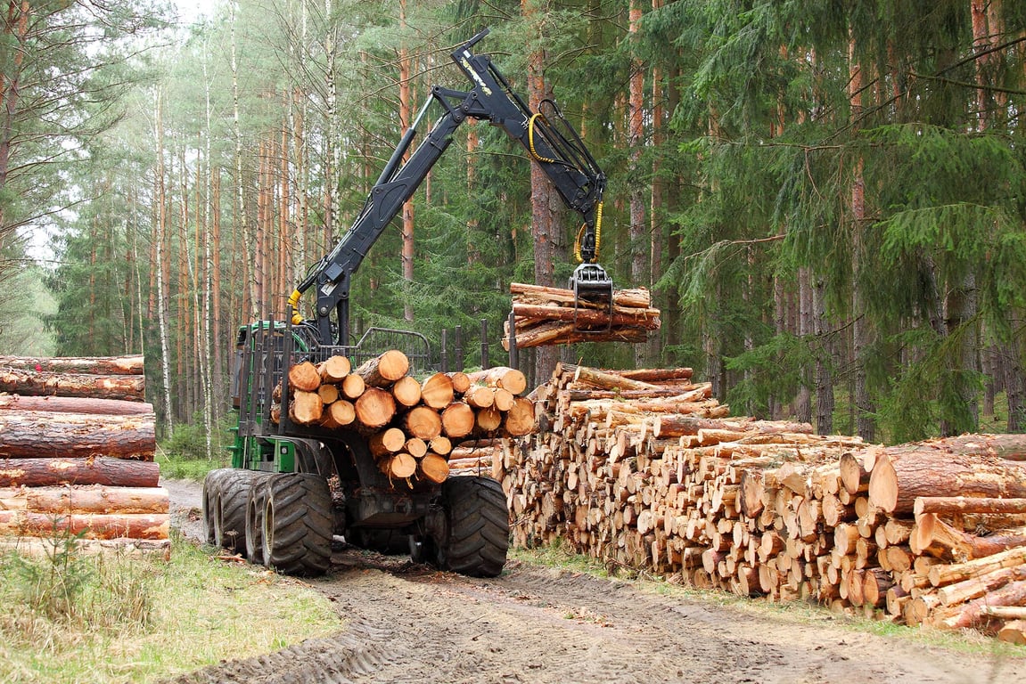 From Forest to Function: How Wooden Pallets Are Made in Europe
